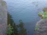 DSC06640