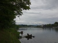 DSC06773
