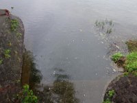 DSC06782