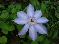 DSC06829