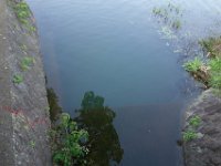 DSC06900