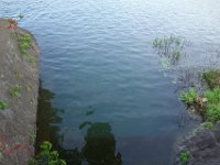 DSC06985