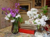DSC07004
