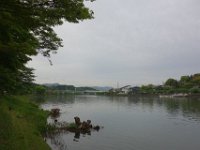 DSC07031