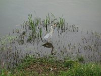 DSC07032