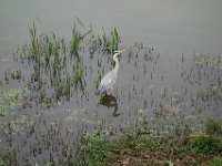 DSC07033