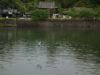 DSC07035