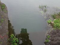 DSC07037