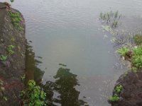 DSC07056