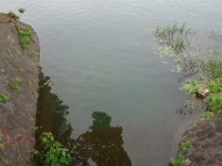 DSC07158