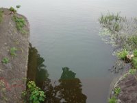 DSC07185