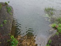 DSC07207