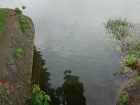 DSC07223