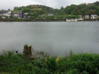 DSC07224