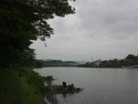 DSC07229