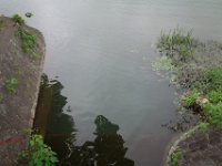 DSC07241