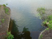 DSC07253