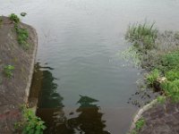 DSC07268