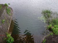 DSC07286