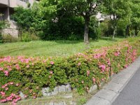 DSC07293