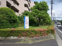 DSC07296