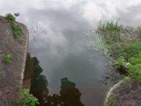 DSC07324