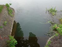 DSC07431