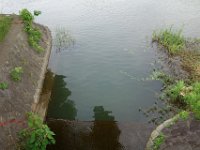 DSC07594