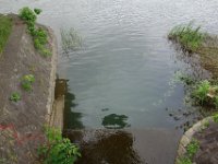 DSC07632