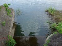 DSC07706