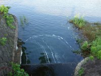 DSC07730