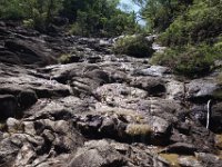 DSC07755