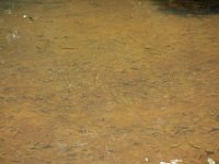 DSC07759