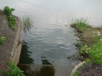 DSC07833