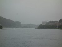 DSC07886