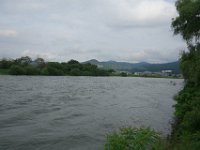 DSC07917