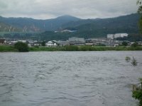 DSC07918
