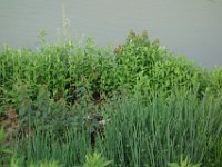DSC07947