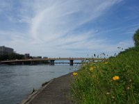 DSC07948