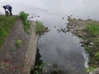 DSC08003
