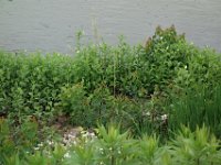 DSC08014