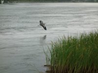 DSC08025
