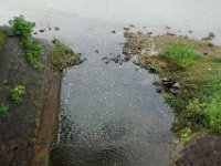 DSC08035