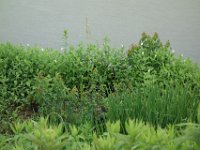 DSC08037