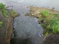 DSC08069
