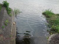DSC08087