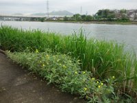 DSC08088