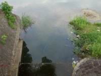 DSC08167