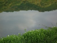 DSC08170