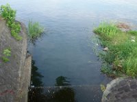 DSC08184